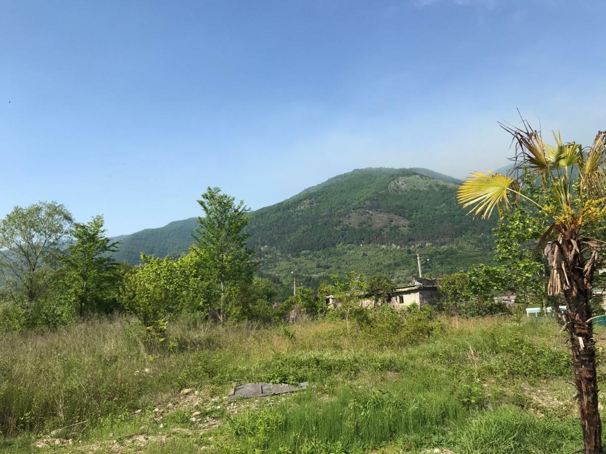 Ainar Hotel Gagra Buitenkant foto