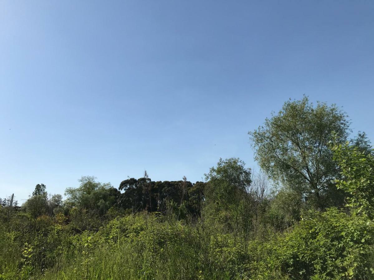 Ainar Hotel Gagra Buitenkant foto